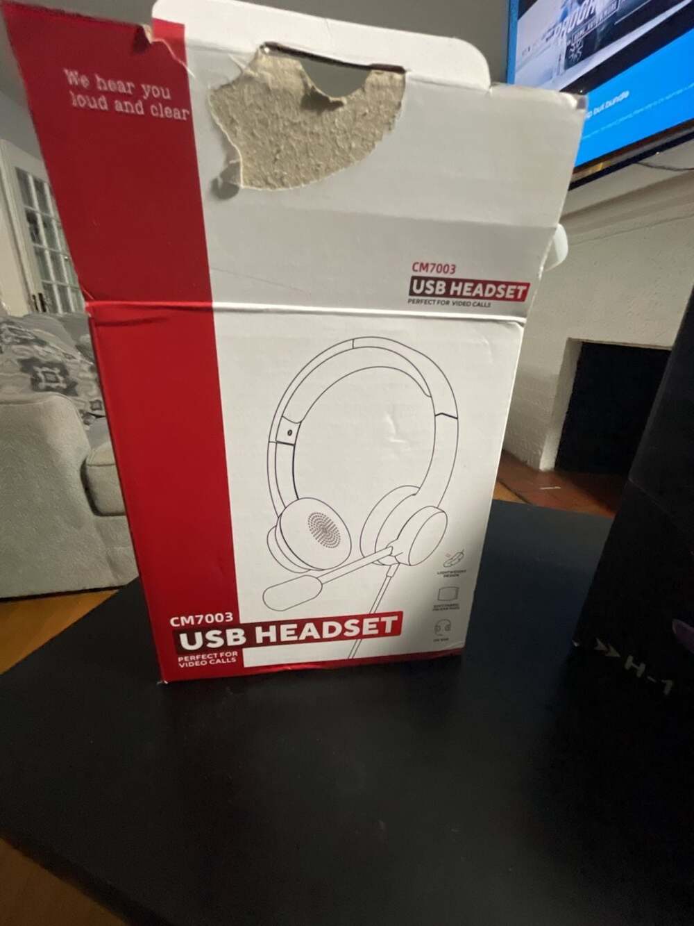 USB Headset Perfect for Video Calls